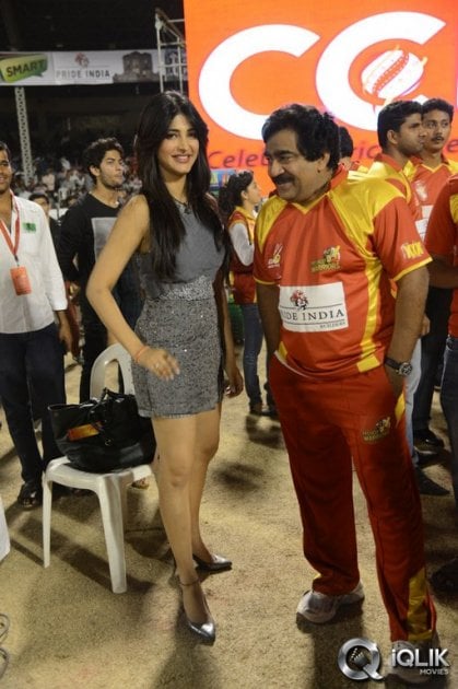 Celebrity-Cricket-League-2014